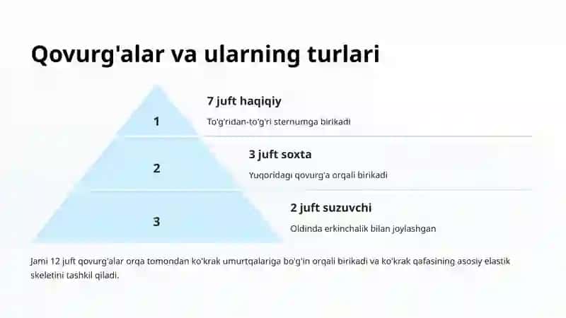 Ko'krak qafasi anatomik diametrlari 4