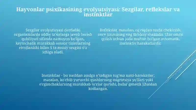 Psixikaning felogenetik taraqqiyoti 4