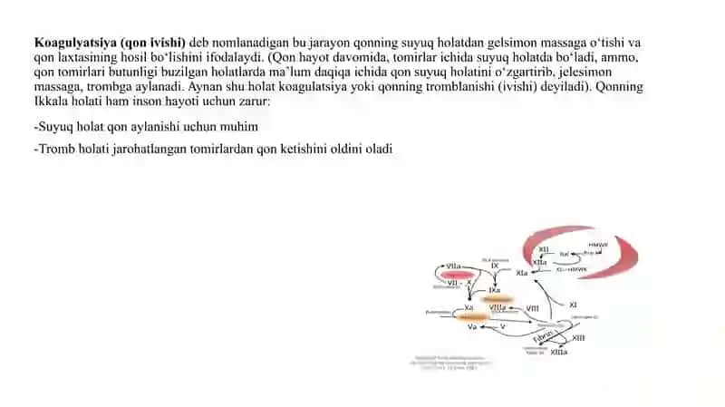 taqdimot 4