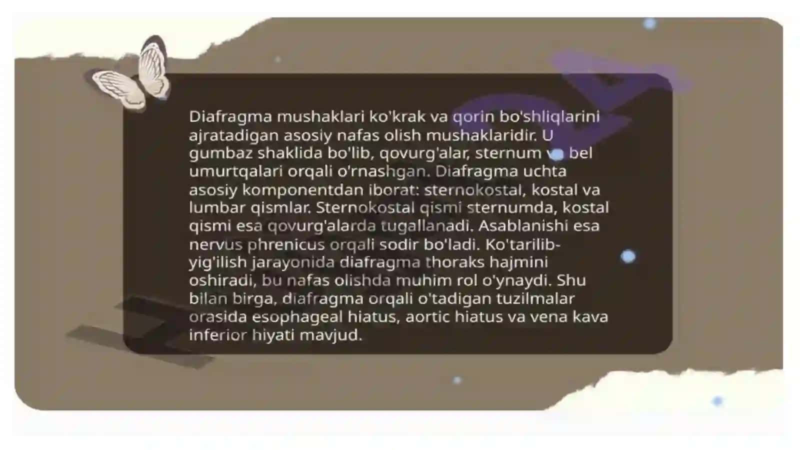 Diafragma mushaklari fiziologiyasi 4