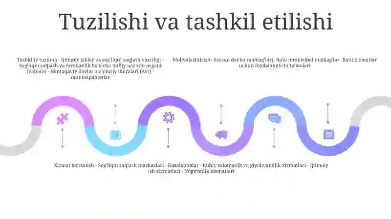Finlandiya Davlat Miya Tizimi 4