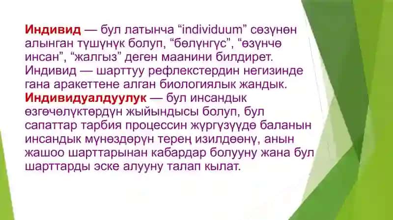 Инсандын өнүгүү жараяны 4