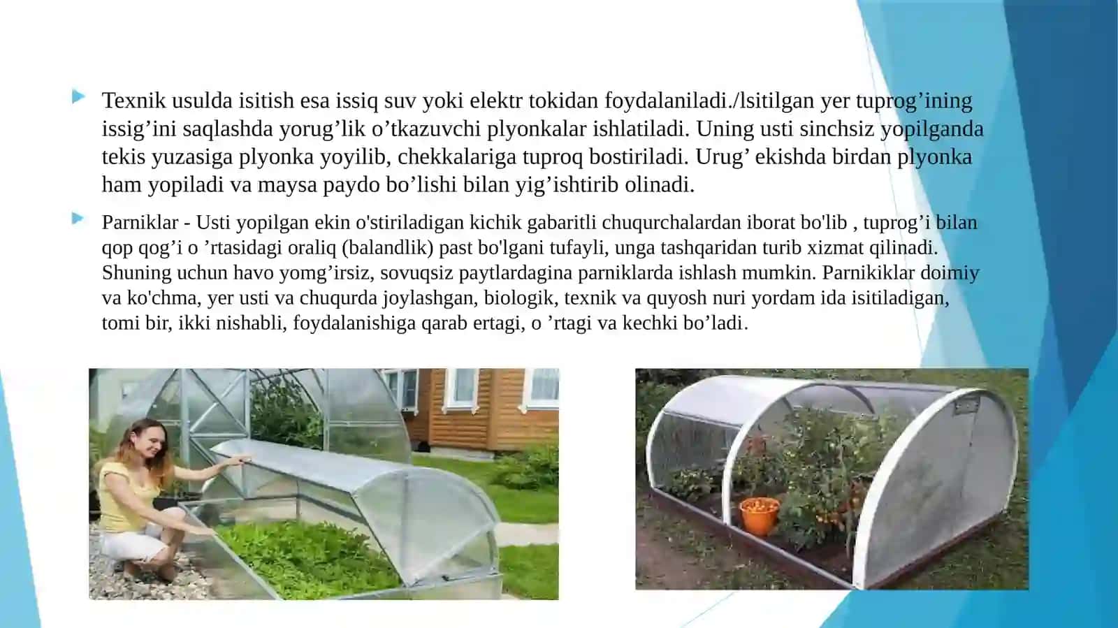 YOPIQ KO’CHATXONALARDA NIHOLLARNI PARVARISHLASH AGROTEXNIKASI 4