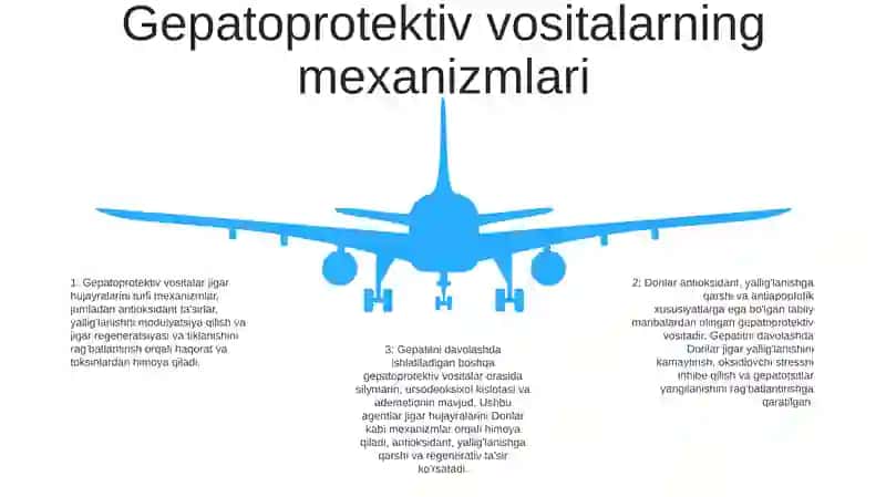 Dorilar Ta’Sirida Yuzaga Kelgan Gepatitlarni Davolashda Qo‘Llaniladigan Gepatoprotektor Vositalar 4