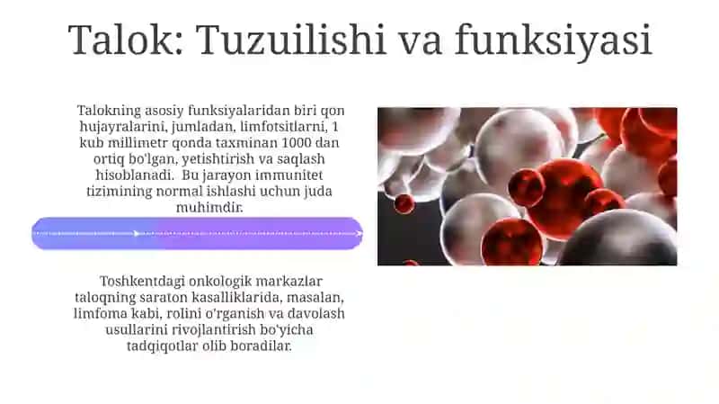 Qon Yaratuvchi va Immun A'zolari 4