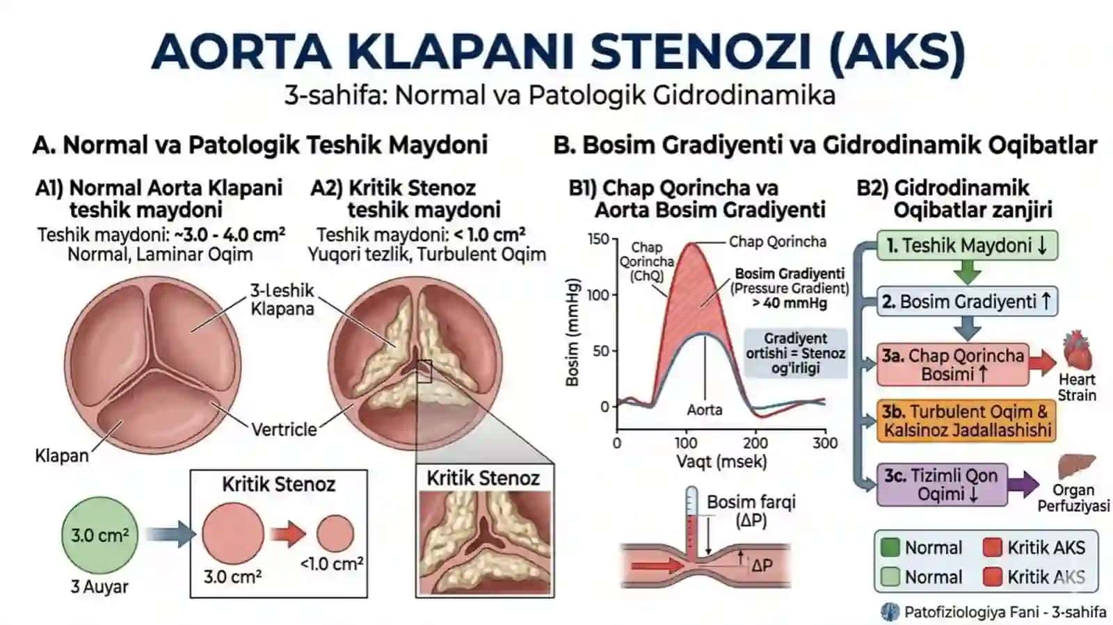 Aorta klapani stenozitaqdimot tibbi 4