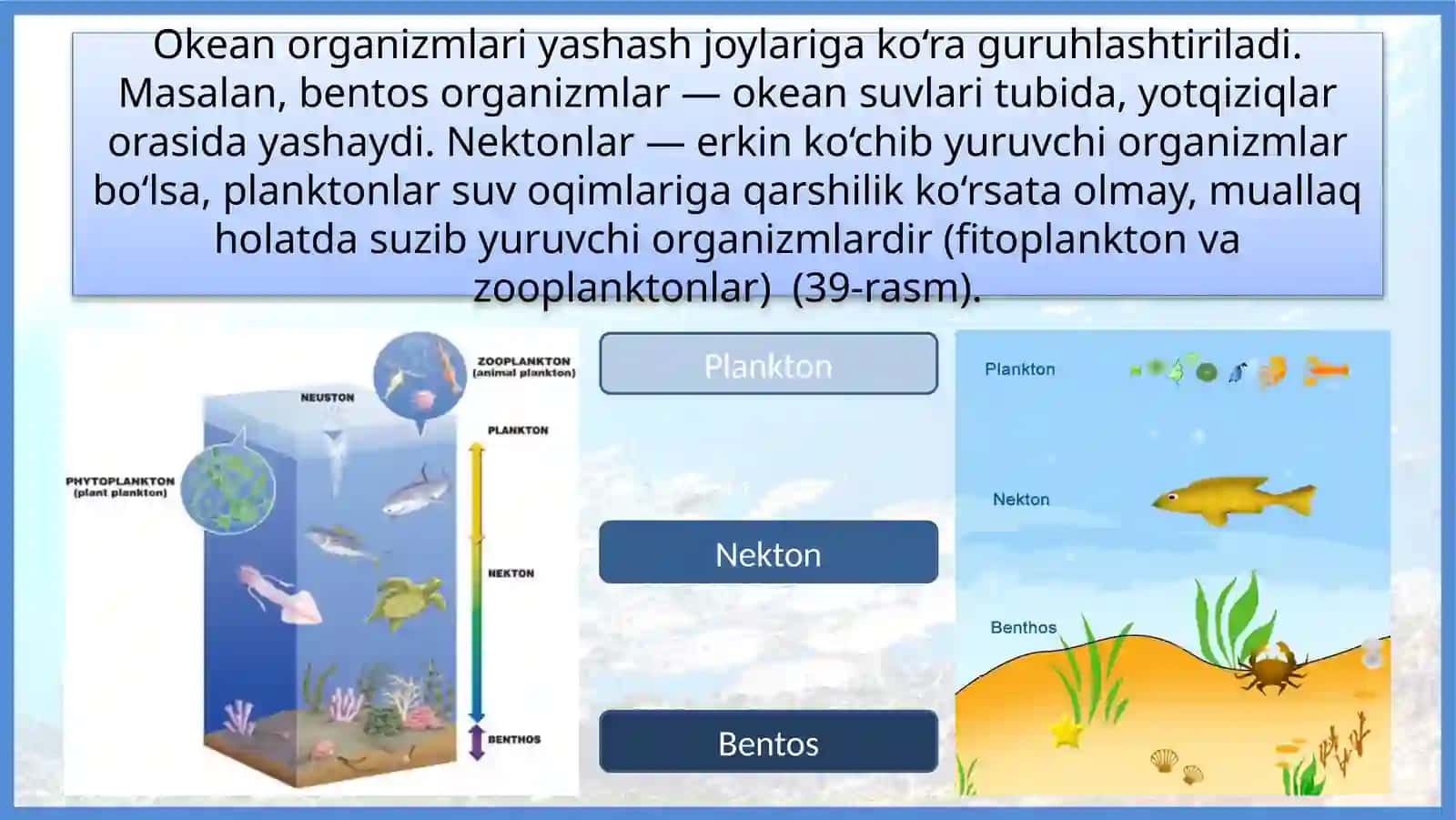 Geografiya o'qitish metodikasi fanidan tayyorlagan mustaqil ishi 4