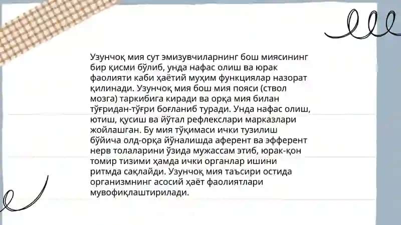 Узунчоқ мия 4