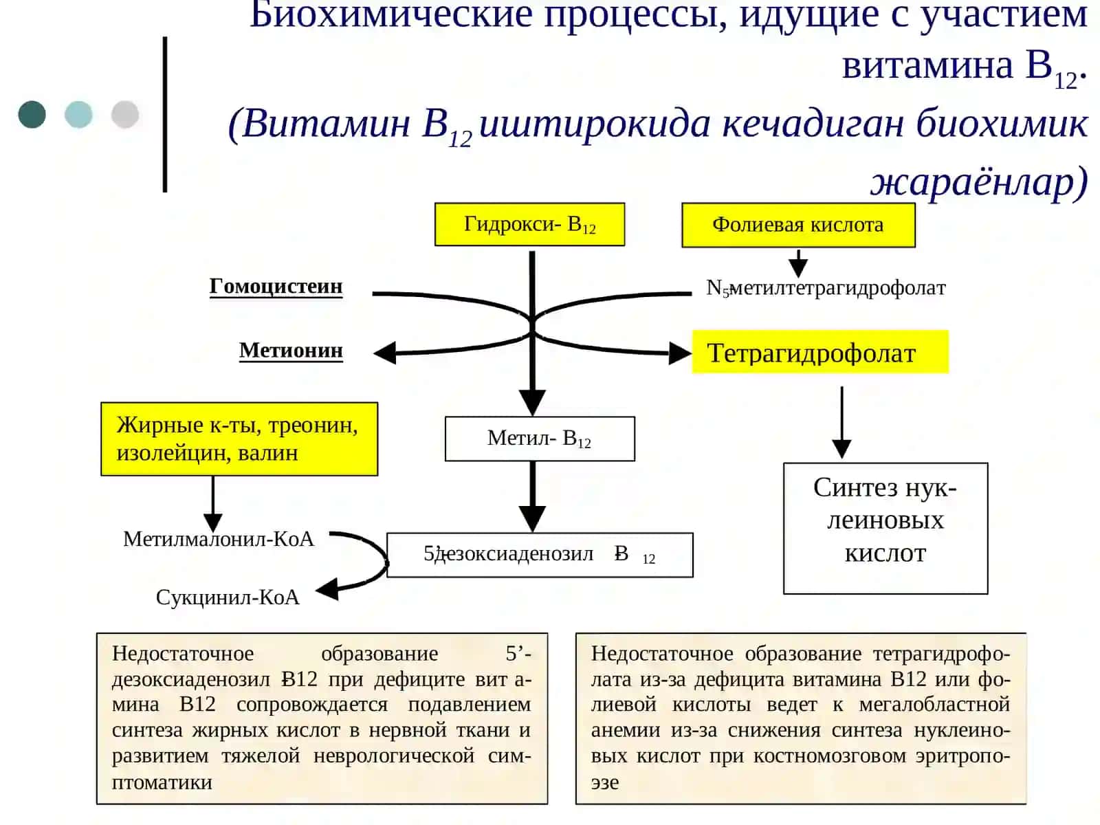 Мегалобластные анемии(Мегалобласт камконликлар) 4