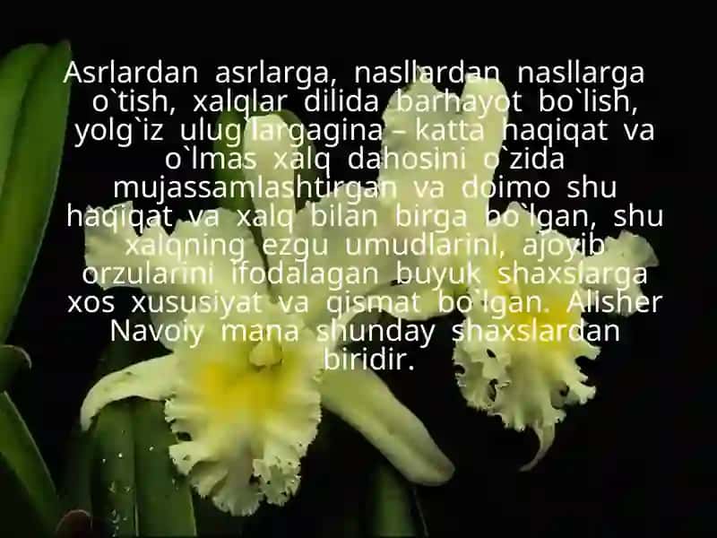 Alisher Navoiy – ruboiynavis 4