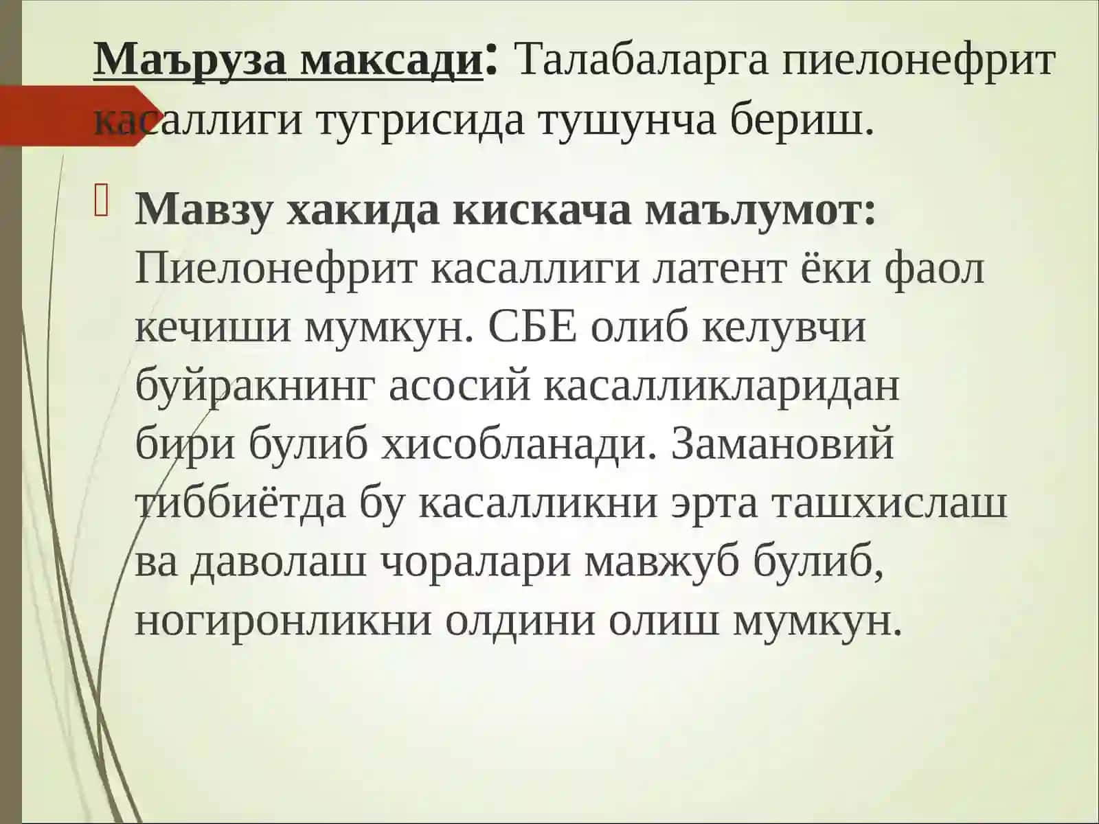Пиелонефрит ва гломерулонефритлар 4