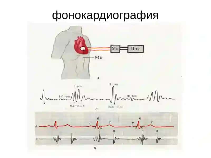 Юрак фаолиятининг ташқи кўрсаткичлари 4