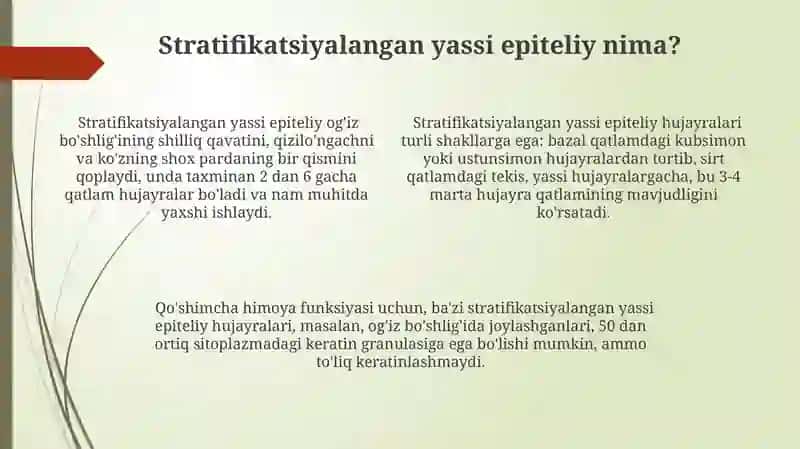 Qatlamli Naykeratinlangan Yassi Epiteli 4