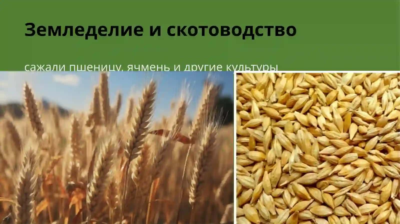 Энеолит 4