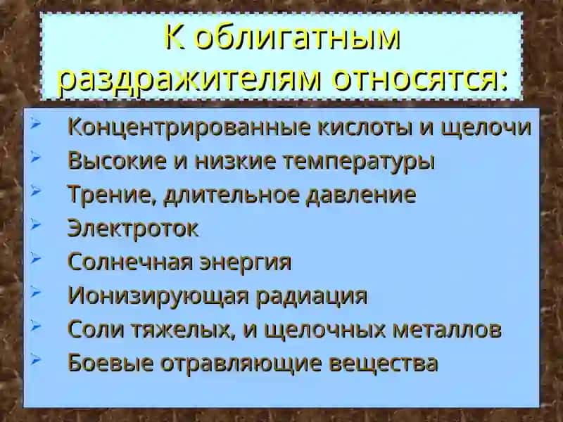 Классификация дерматитов 4