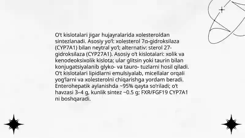 Oʻtning hazm jarayonlarda ishtirok 4