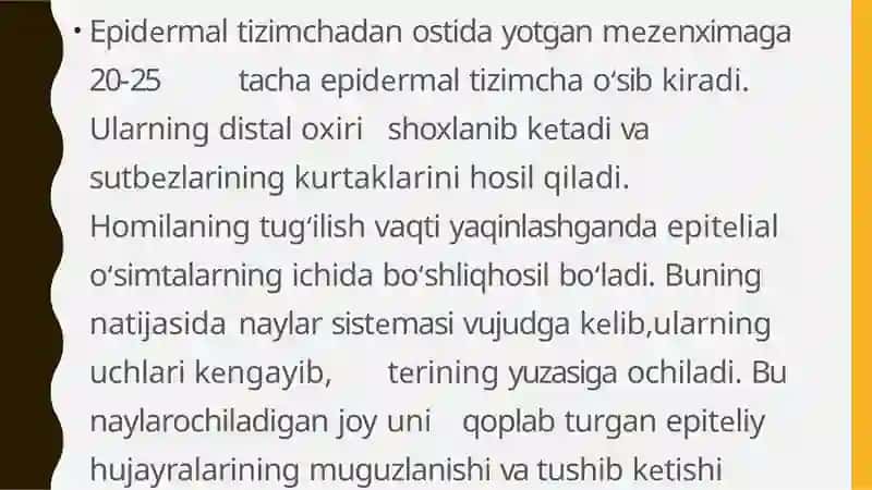 sut bezlari gistogenezi va gistofiziologiyasi 4