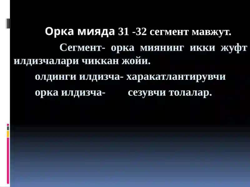 Орка мия 4