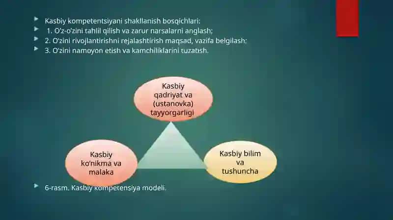 PEDAGOGLIKKASBINING SATHLARINI TASHKIL ETUVCHI KOMPETENSIYALAR 4