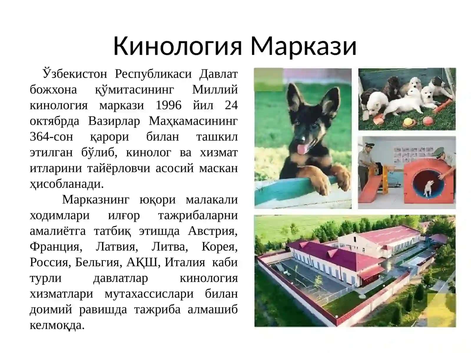 Божхона хизмати назоратини ташкил этиш 4