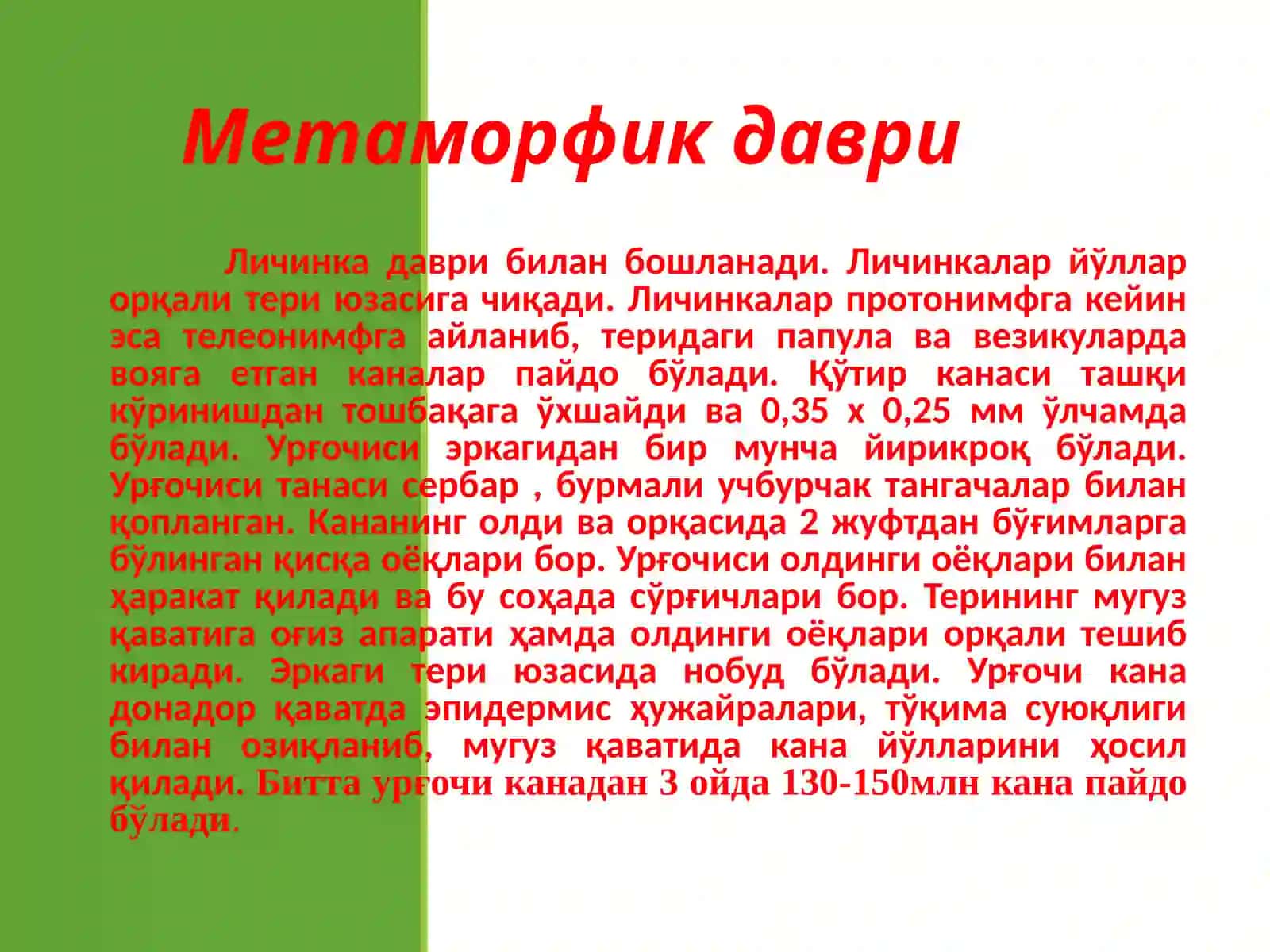 Қўтир канаси (Sarcoptesscabiei) 4