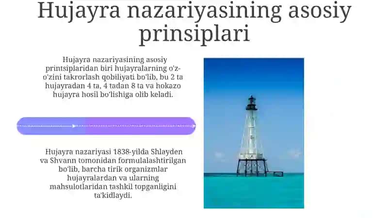 Hujayra nazariyasi 4