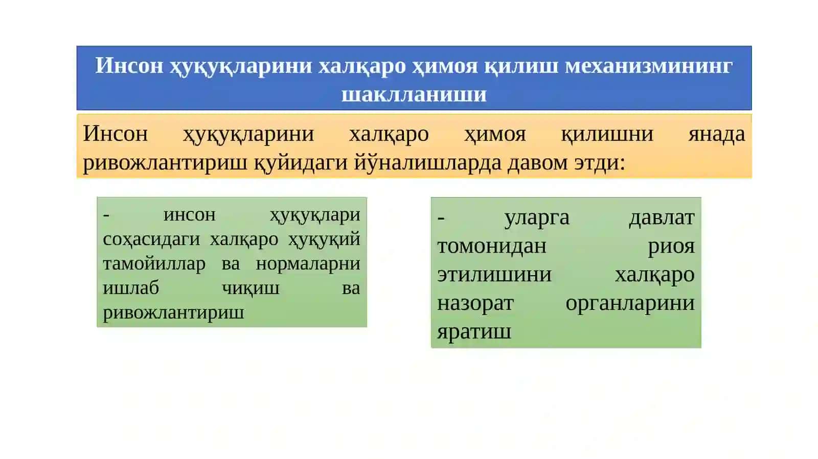Инсон Ҳуқуқлари Бўйича Халқаро Механизмлар 4