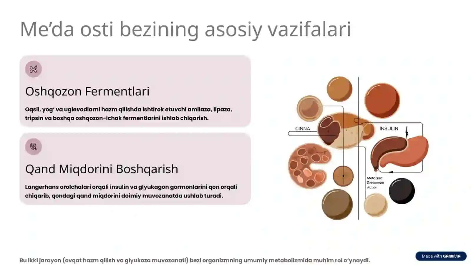 Me’da osti bezi: Tuzilishi, vazifalari va kasalliklari 4