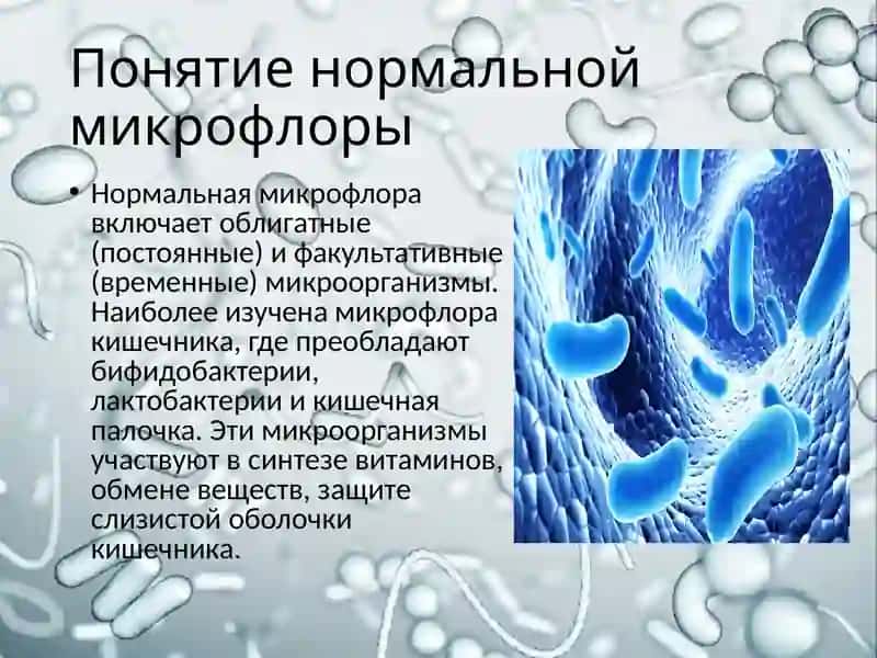 Дисбактериоз, дисбиоз, факторы, способствующие его возникновению. Методы бактериологической диагностики дисбактериоза, дисбиоза. Пробиотики, применяемые при дисбактериозе. 4