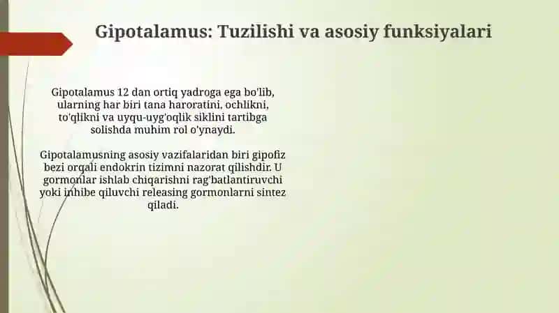 Vegetativ oliy markazlar va ularning funksional ahamiyati 4