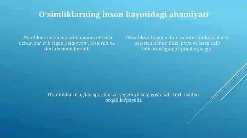 O'simlik Anatomiyasi va Fiziologiyasi: Hayotning Qurilish Blokları 4