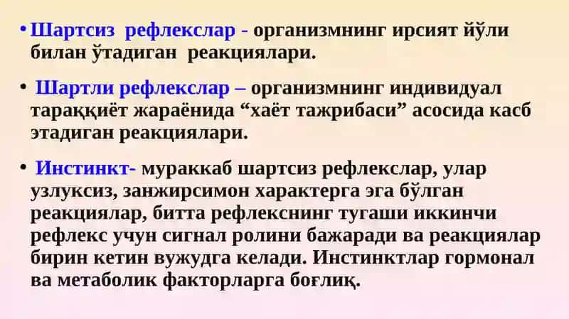 Олий нерв фаолияти 4