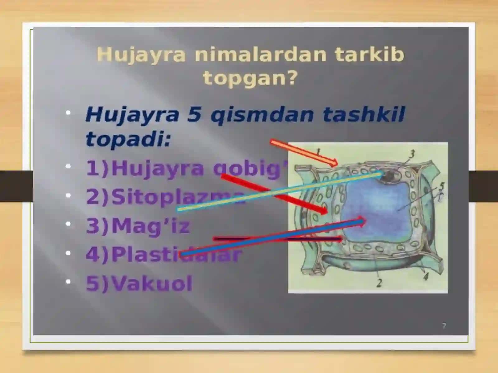 O‘simliklar anatomiyasi, fiziologiyasi. Tiriklik belgilari 4