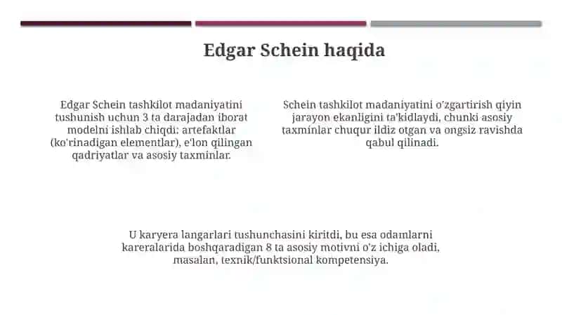 Schein modeli 4