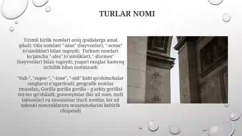Bakteriya va Arxeylarni Nomlash Konventsiyalari 4