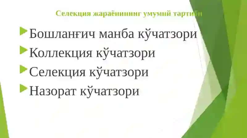 Уруғ ва кўчатхоналар учун қўйиладиган талаблар 4