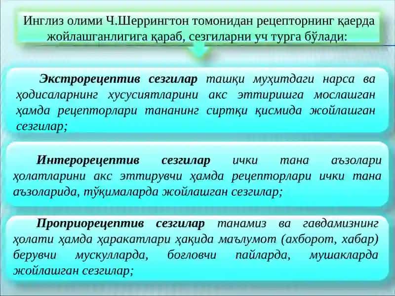 Сезги 4