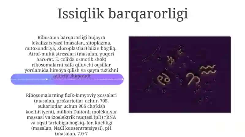 Ribosomaning mexano - kimyoviy xususiyatlari 4