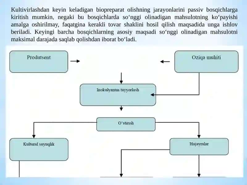 BIOTEXNOLOGIK JARAYONLAR JIHOZLARI FANI ASOSLARI 4