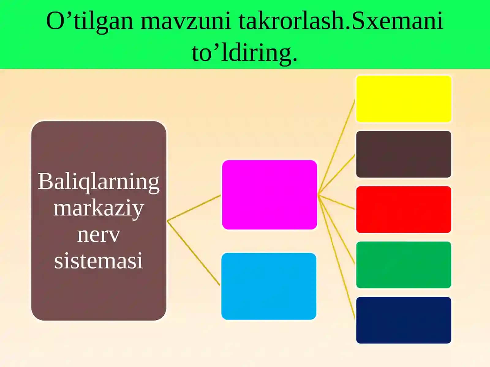 Baliqlarning ko‘payishi va rivojlanishi 4