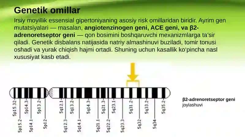 Essensial gipertoniya patogenezining zamonaviy aspektlari 4