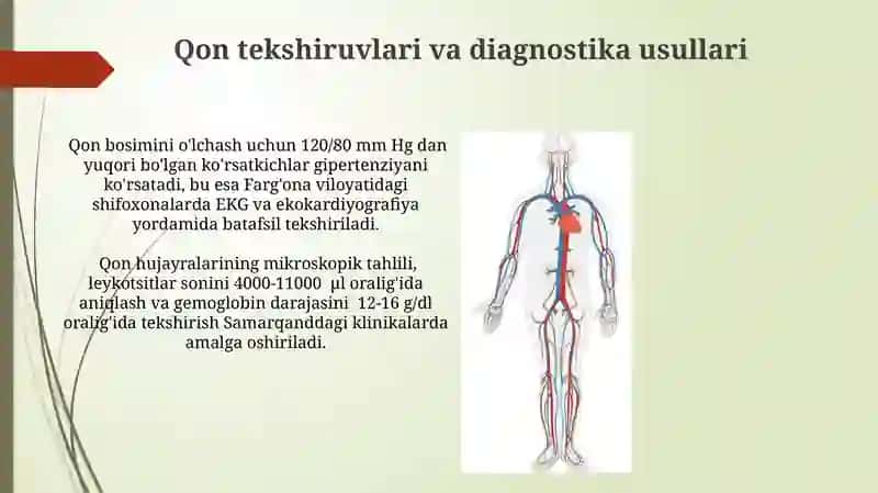 Qon sistemasi fizologiyasi 4