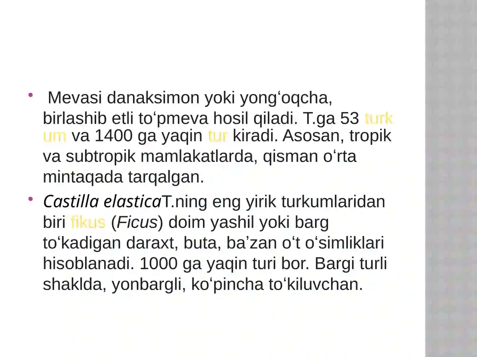 Tutdoshlar (Moraceae) yağı 4