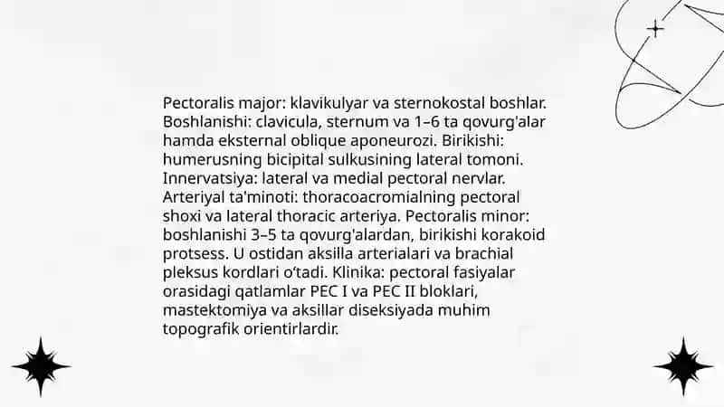Koʻkrak qafasining jarrohlik anatomiyasi 4