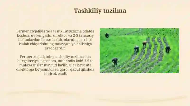 Fermer xo'jaliklari 4