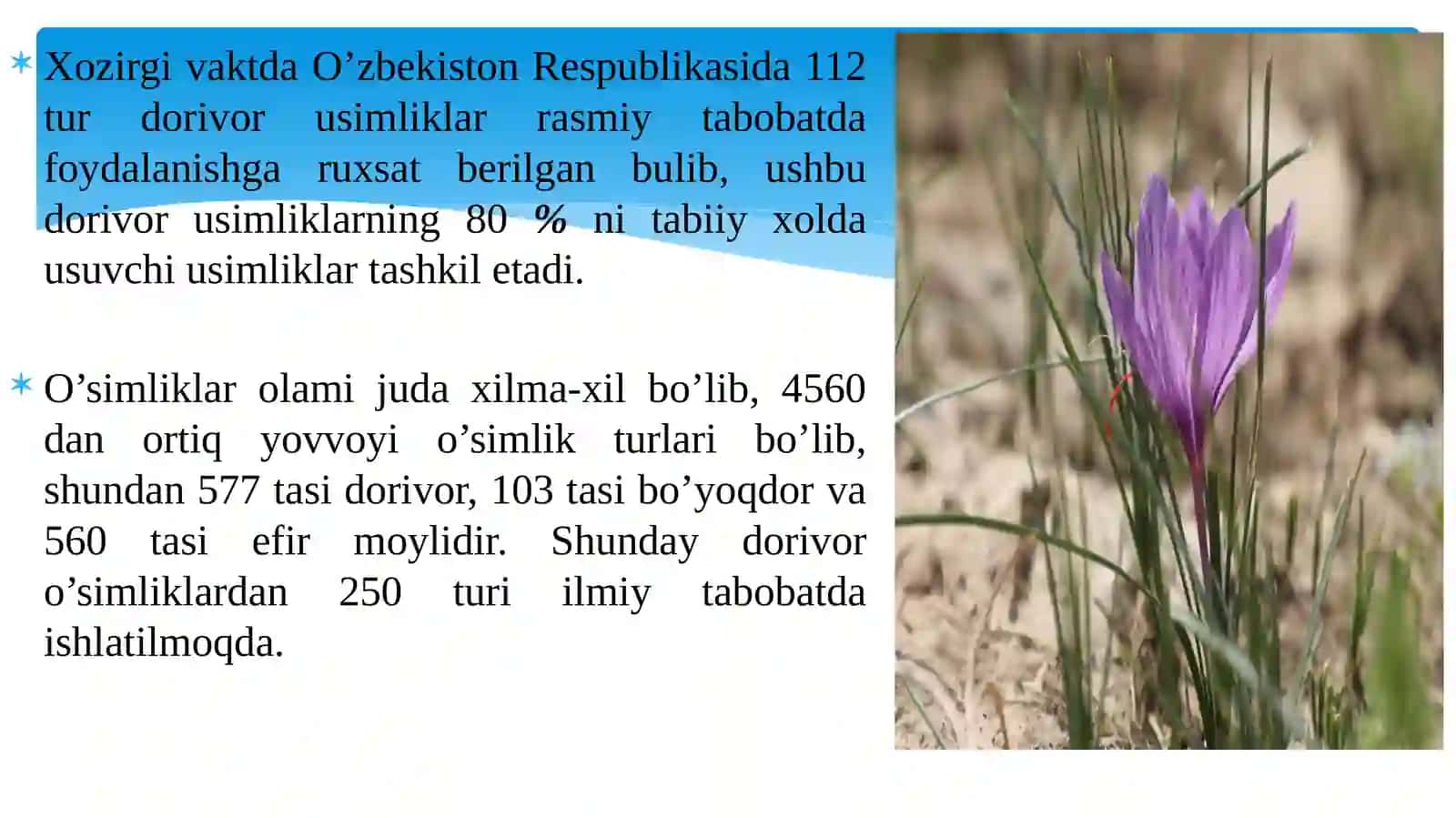 Istiqbolli dorivor о‘simliklardan foydalanish tarixi 4