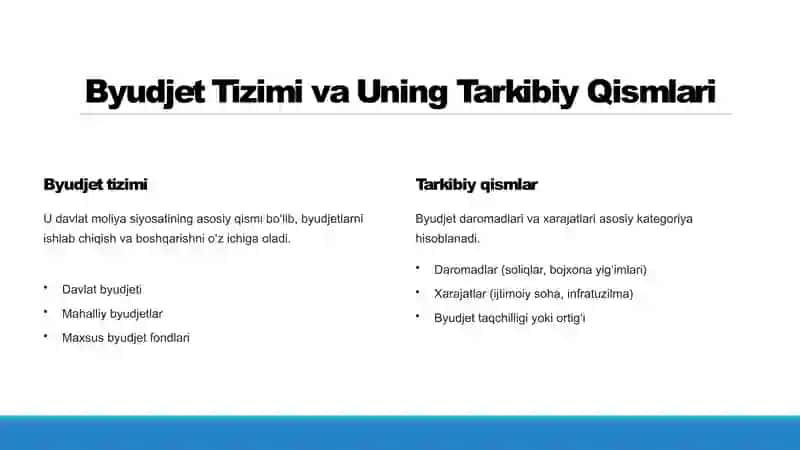 Davlat Byudjetining Mohiyati va Ahamiyati 4
