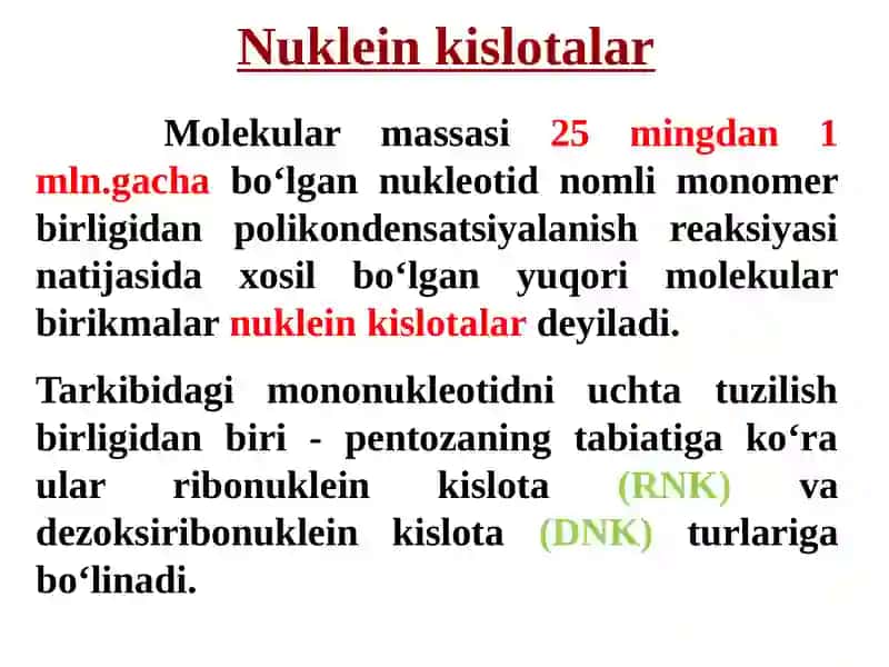 Nuklein kislotalar. Nukleozidlar. Nukleotidlar. Nuklein kislotalar tuzilishi. 4
