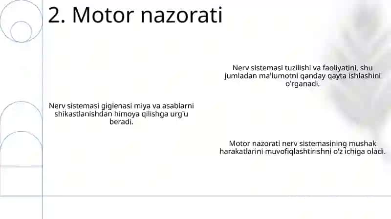 Nerv tizimining xususiy fiziologiyasi va gigiyenasi 4