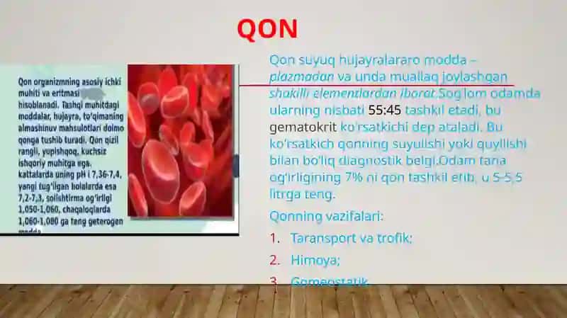 Mezenximadan hosil bo'lib, tayanch-trofik vazifani bajaruvchi to'qimalar 4